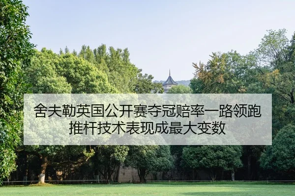 舍夫勒英国公开赛夺冠赔率一路领跑 推杆技术表现成最大变数