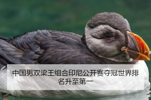 中国男双梁王组合印尼公开赛夺冠世界排名升至第一